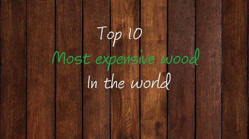 Most Expensive Wood